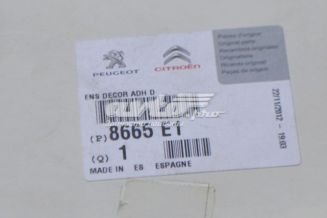 8665E1 Peugeot/Citroen 