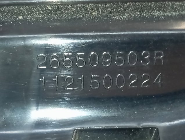 265509503R Renault (RVI) 