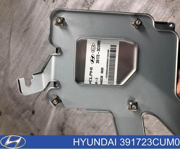 391723CUM0 Hyundai/Kia 