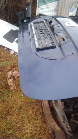 901003901R Renault (RVI) Треті двері