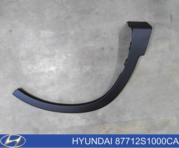 87712S1000CA Hyundai/Kia Молдинг арки крила переднього, правий