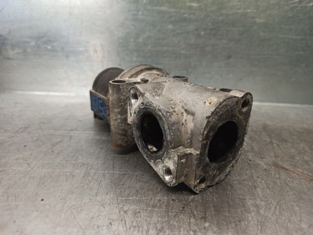  Fiat/Alfa/Lancia 50024004