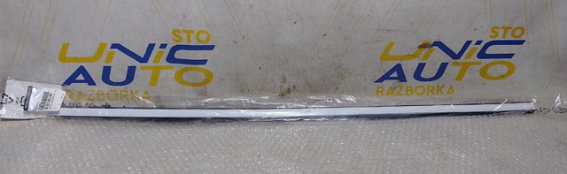 828201051R Renault (RVI) Ущільнювач скла задніх дверей правих, зовнішній (планка)