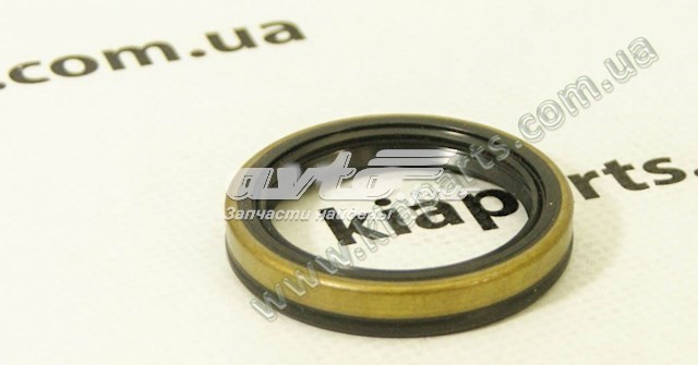 Треті двері на KIA Rio I DC