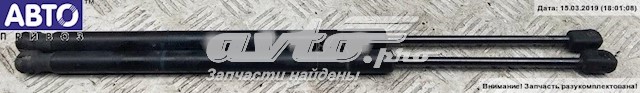 амортизатор кришки багажника/ двері 3/5-ї задньої ZSA09188 Амортизатор багажника лівий ASHIKA ZSA09188