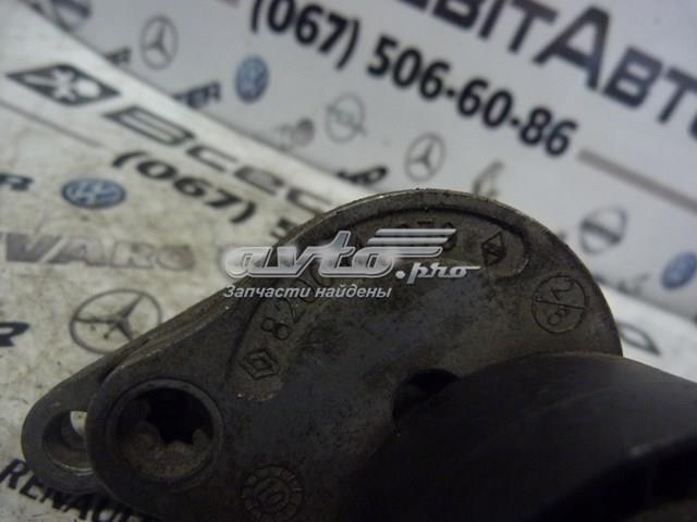 Натягувач приводного ременя 8200941079 Renault (RVI)