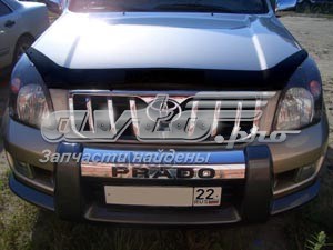 Мухобійка Toyota Land Cruiser PRADO ASIA