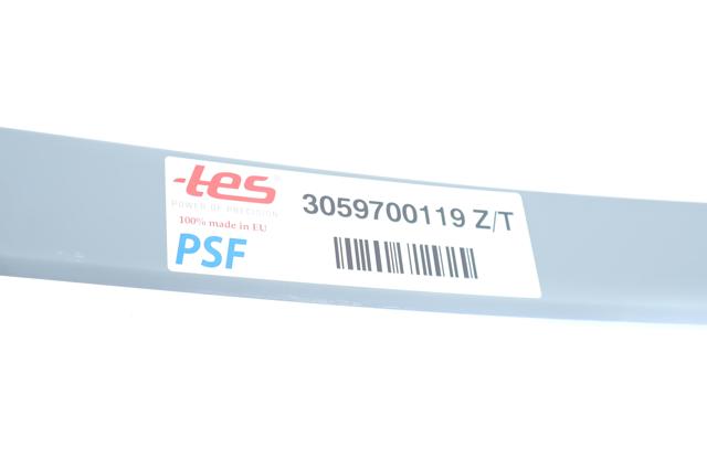 3059700119ZT TES Лист ресори задньої
