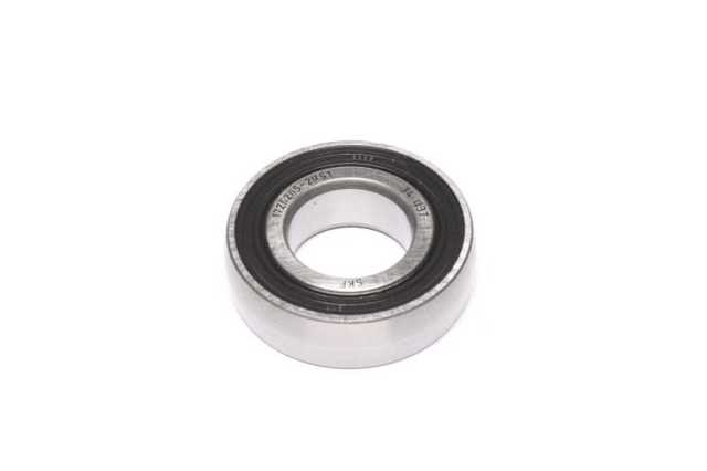 17262052RS1 SKF 