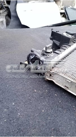 Радіатор DG938005 Ford