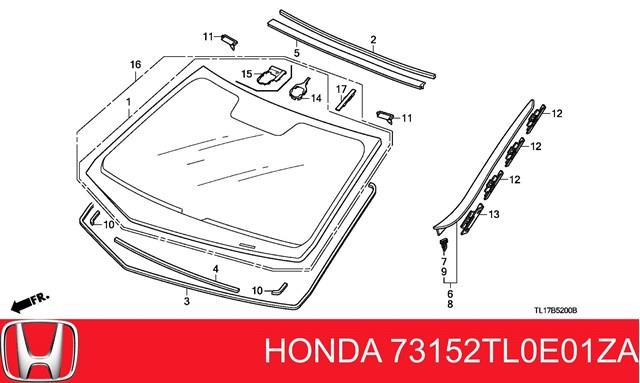 Молдинг лобового скла Honda Accord 8 (CW) (Хонда Аккорд)