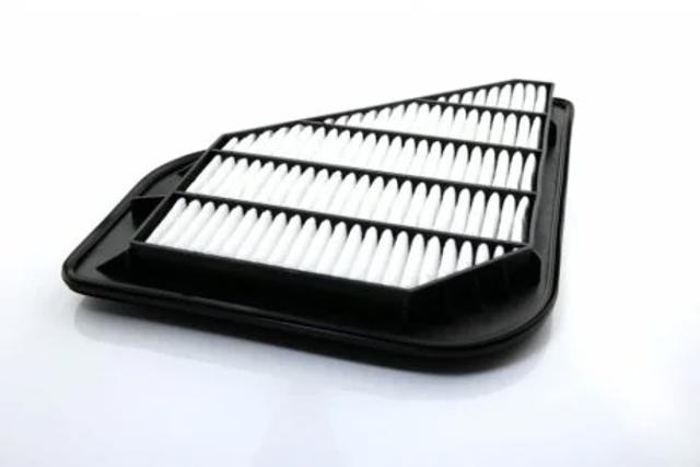Повітряний фільтр SX49634 Shafer