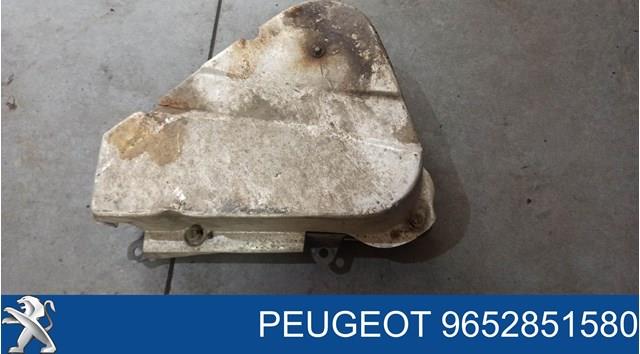  Peugeot/Citroen 9652851580