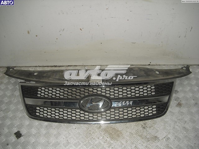 Облицювання радіатора Hyundai H-1 STAREX Starex автобус (TQ) (2007 - 2026) ціна, від 127.62 USD