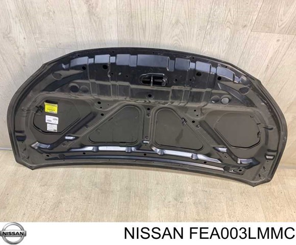 Капот Nissan/Infiniti FEA003LMMC ціна, від 1038.82 USD
