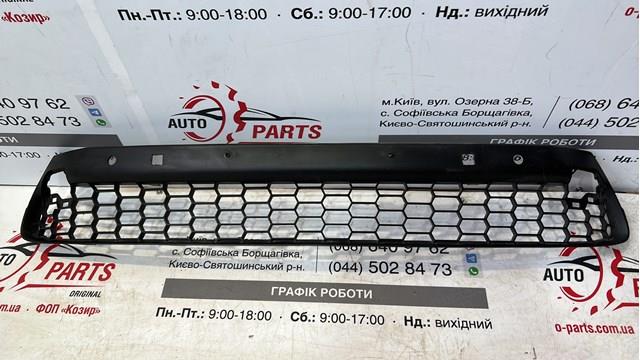 Купити PTY99521GA Signeda Решітка переднього бампера, центральна