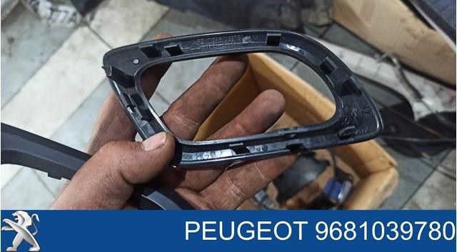 9681039780 Peugeot/Citroen 