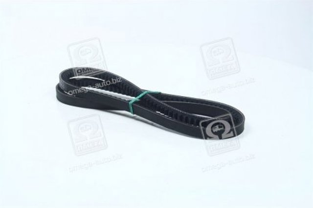 Купити 13A1175C Dayco Ремінь генератора