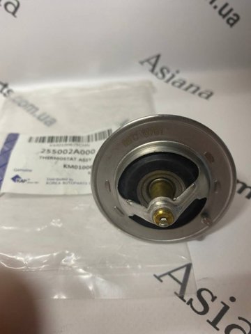 Купити 255002A000 KAP Термостат в корпусі