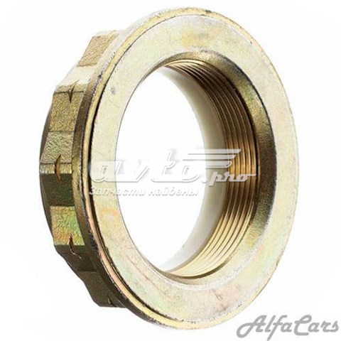 Купити DS6667L DP Group 