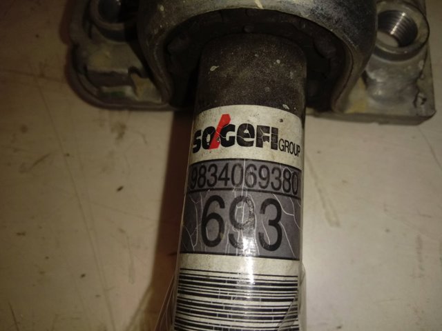 9834069480 Peugeot/Citroen Стабілізатор передньої підвіски