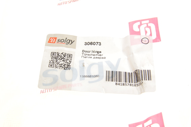 306073 Solgy Петля задньої (двостулкової) двері, ліва нижня
