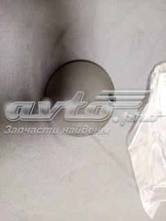  Nissan/Infiniti 622A09NC1A