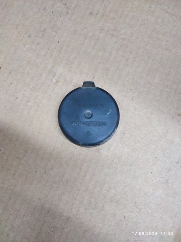  1305219146 Renault (RVI)