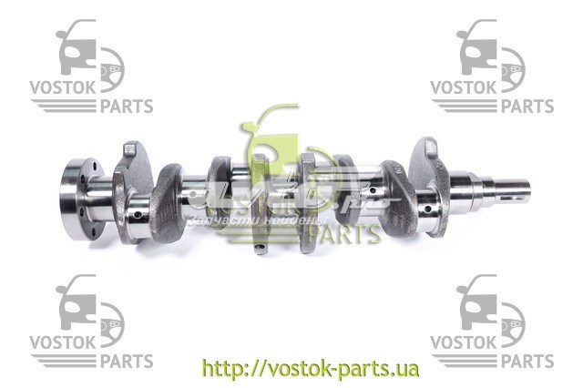  480EJ1005011 Chery