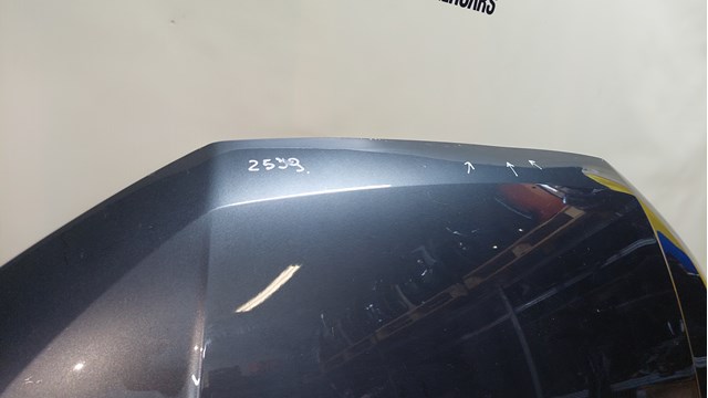 Капот FPS FP1239280Q
