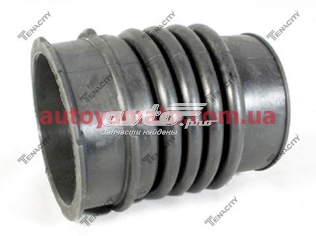  Tenacity AAHMA1008 ціна, від 7.61 USD