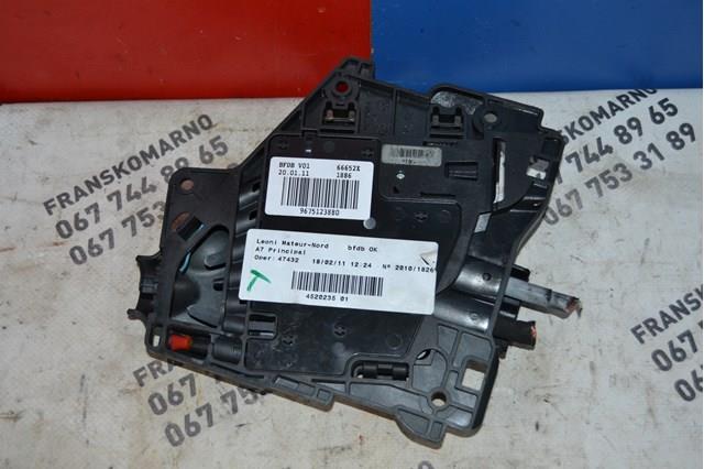 9675123880 Peugeot/Citroen 