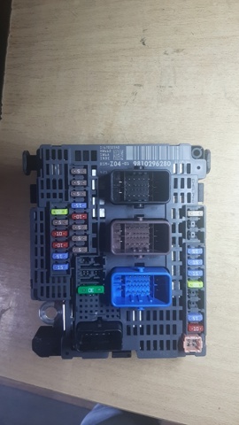 9810296280 Peugeot/Citroen 