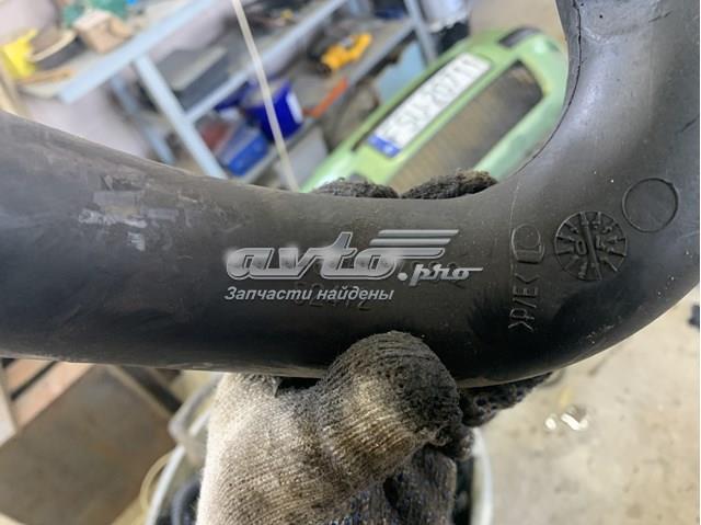  9646617980 Peugeot/Citroen