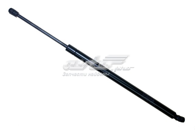 Амортизатор двері задньої Sachs SG330076 ціна, від 44.35 USD