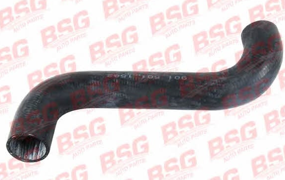 60720003 BSG Патрубок системи охолодження