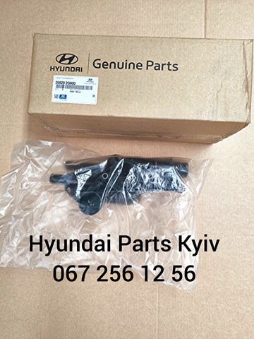 Кожух термостата Hyundai Sonata V седан (NF) (2007 - 2010) ціна, від 114.03 USD