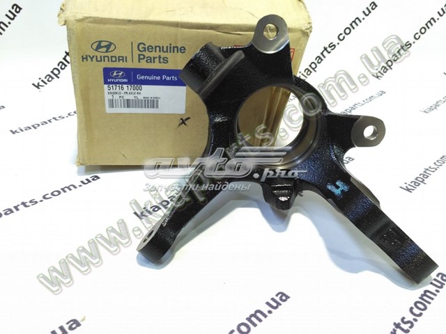 Купити 517161G900 Hyundai/Kia Цапфа передні праві