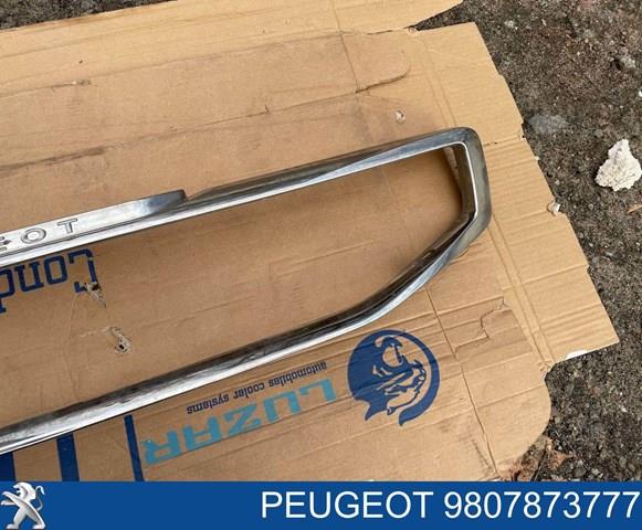  9807873777 Peugeot/Citroen