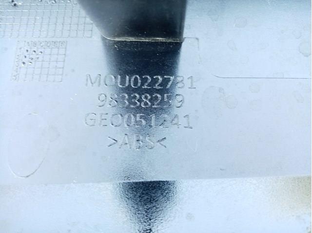 98338259 Peugeot/Citroen 