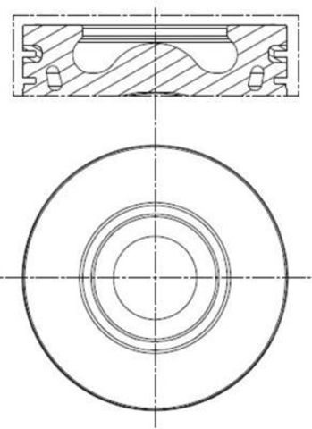  013PI00136002 Mahle Original