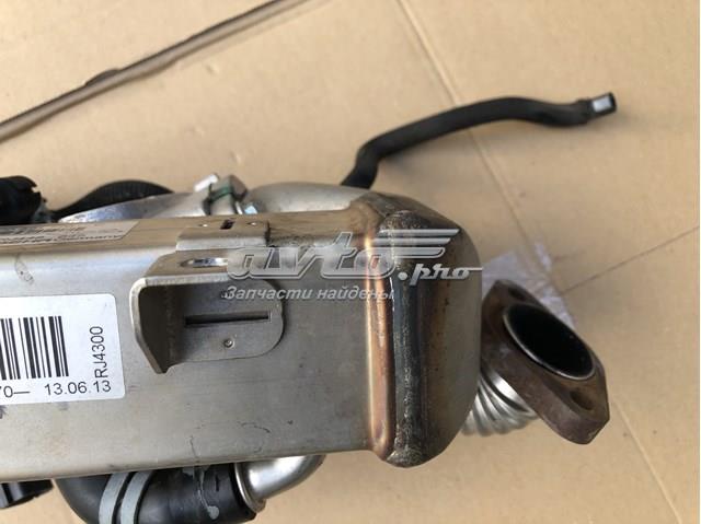  Nissan/Infiniti 8200821770 ціна, від 178.45 USD