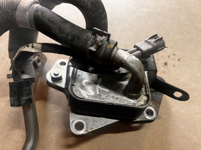 1571036030 Toyota Радіатор масляний