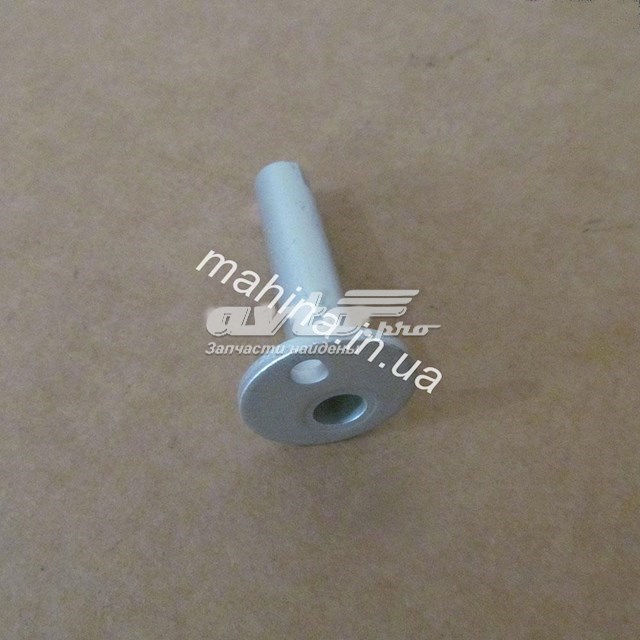Болт заднього продольно важеля, розвальний T113301311 Chery