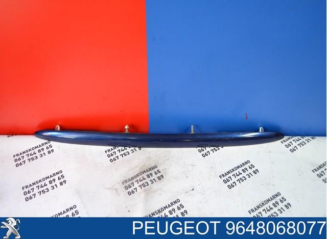  9648068077 Peugeot/Citroen