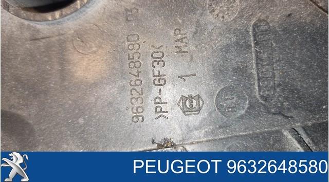 Купити 9632648580 Peugeot/Citroen 