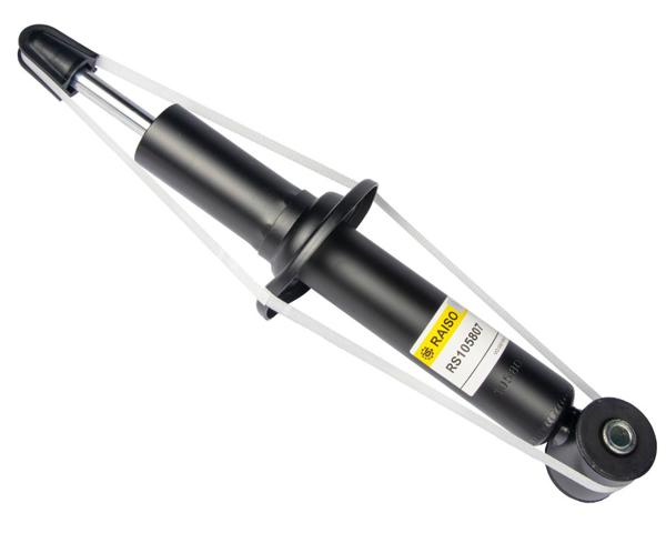 RS105807G Raiso Амортизатори задні