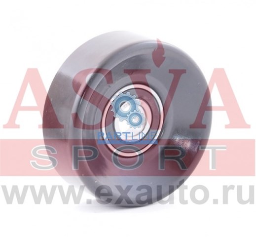  TYBP031 Asva