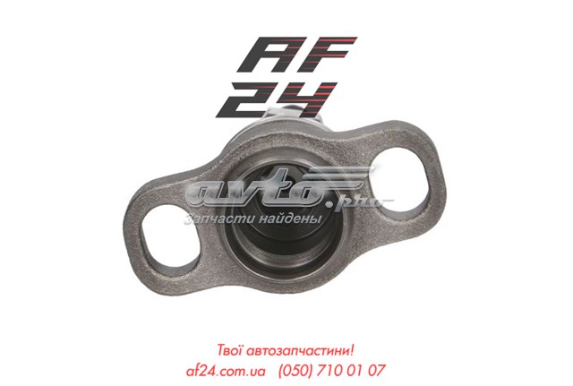 2418455196 Bosch Плунжерная пара