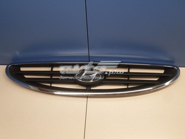 865611A100 Hyundai/Kia Решітка радіатора